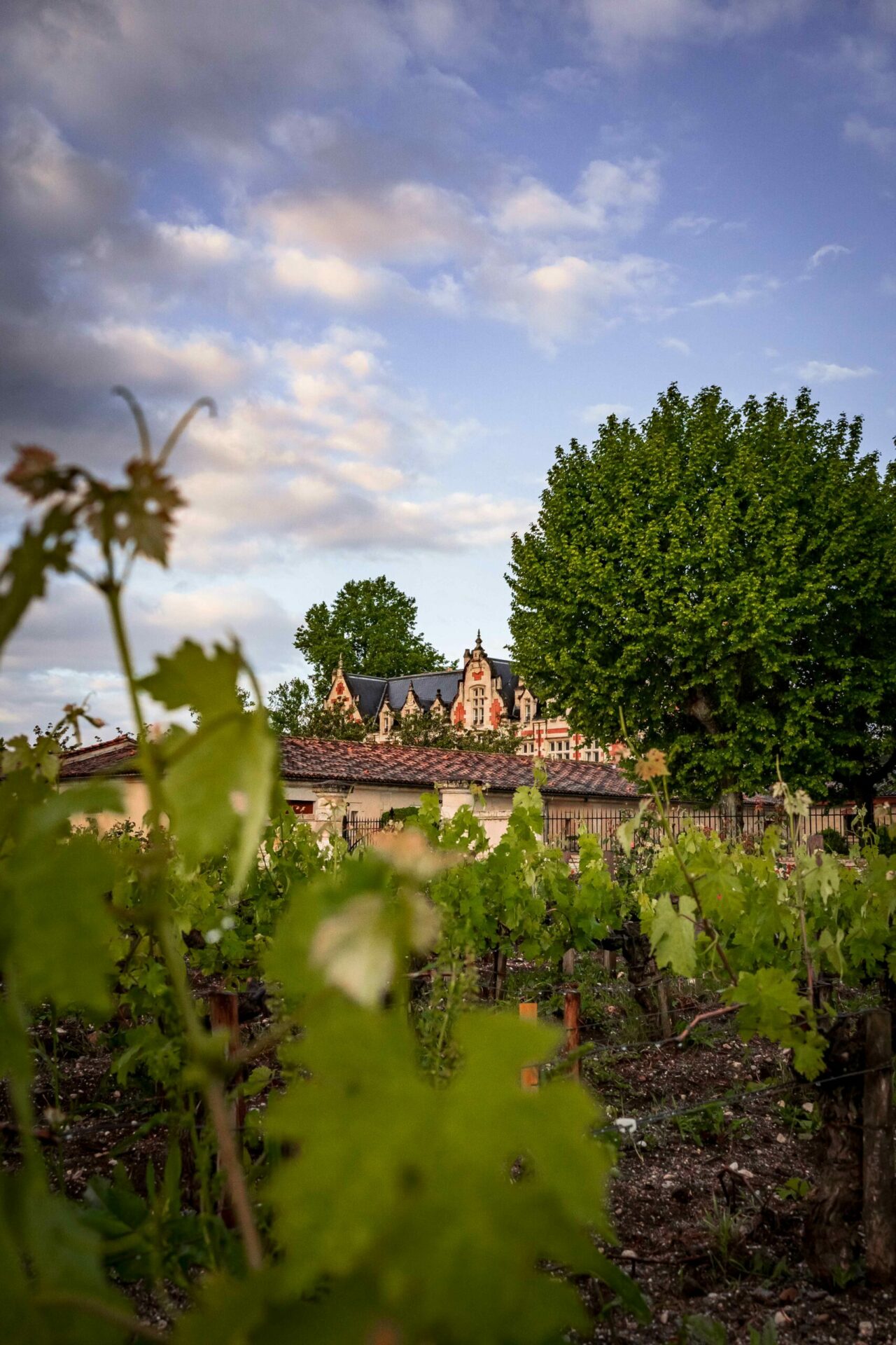 L'histoire Du Vignoble Bordelais - Château Cantenac Brown